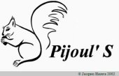 logo pijouls.jpg